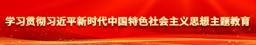 草逼网com学习贯彻习近平新时代中国特色社会主义思想主题教育